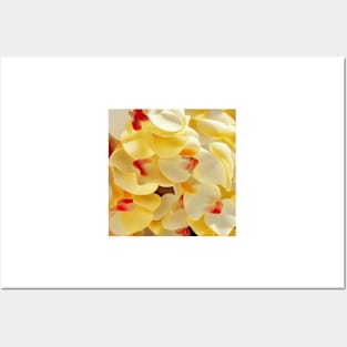 Delicate Yellow Orchids Posters and Art